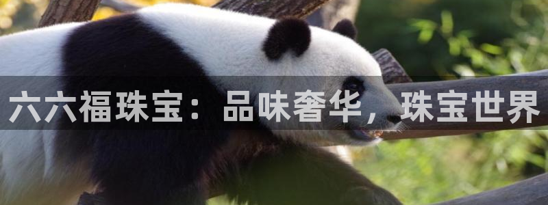 楚雄众腾娱乐