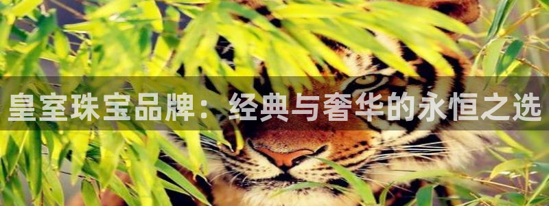 腾众娱乐
