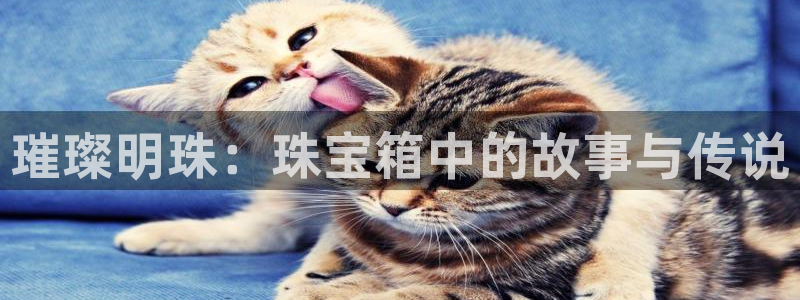 众腾娱乐下7O777