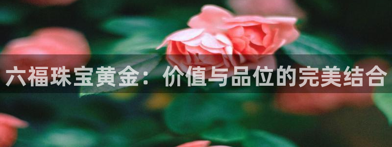 众腾娱乐公司简介