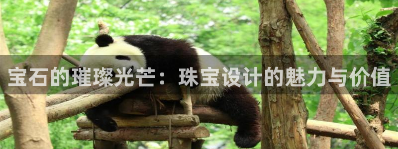 众腾娱乐官方客服电话