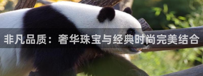 腾耀3娱乐众推8 28