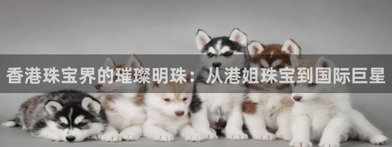 众腾娱乐博彩