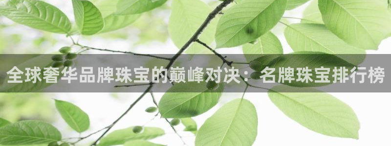 众东腾娱乐客服
