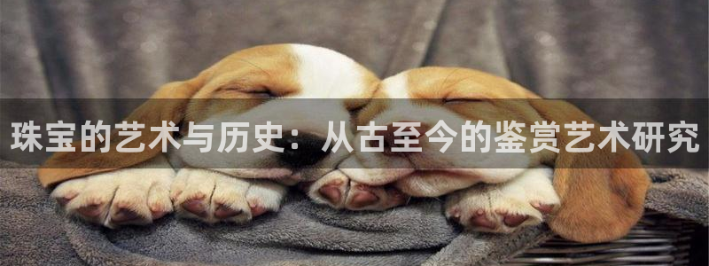 众腾娱乐扣款是正规的吗