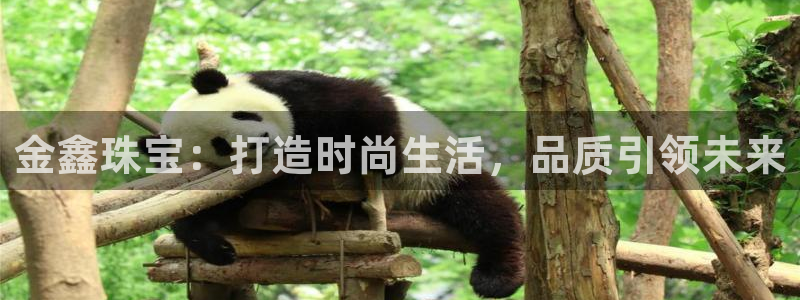 楚雄众腾娱乐：金鑫珠宝：打造时尚生活，品质引领未来