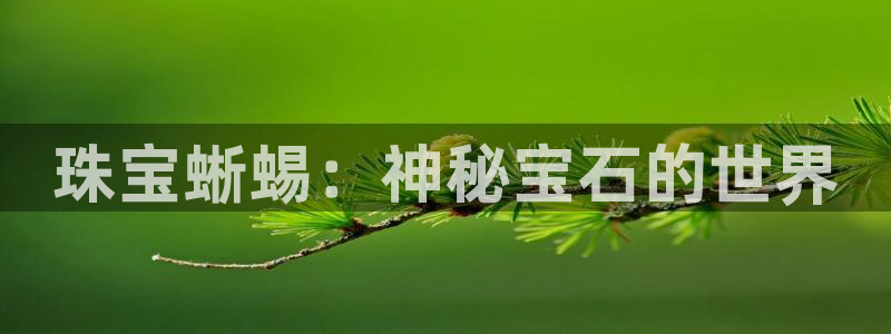 楚雄众腾娱乐在哪里