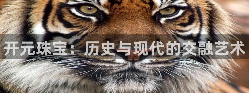 腾众娱乐是个啥