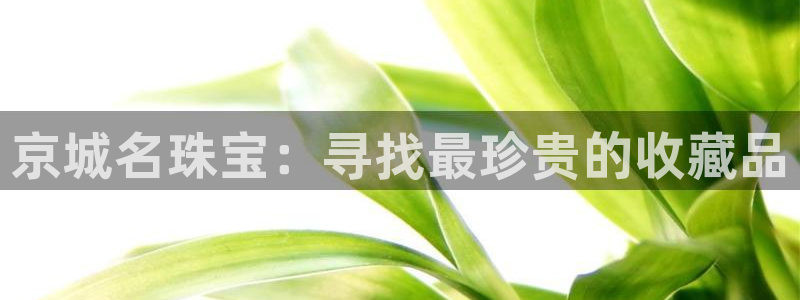 众腾娱乐客服