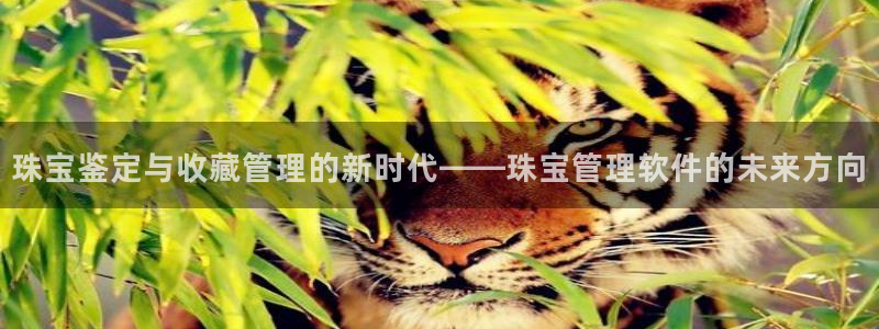 包头众腾娱乐密室逃脱：珠宝鉴定与收藏管理的新时代——珠宝管理
