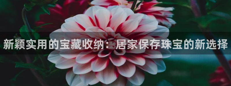 腾众娱乐是个啥：新颖实用的宝藏收纳：居家保存珠宝的新选择