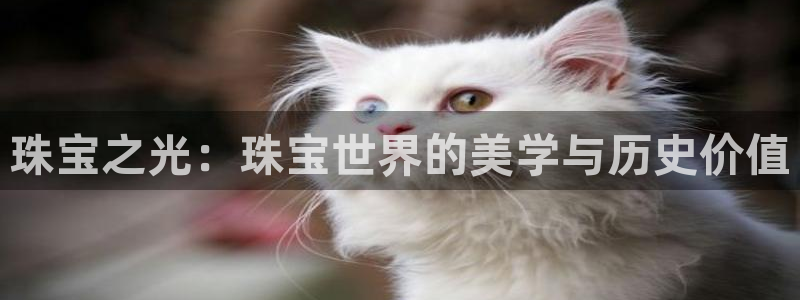 腾耀3娱乐众123