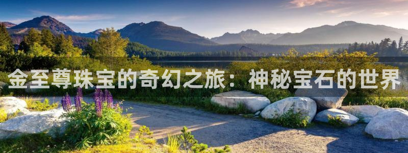 楚雄众腾娱乐在哪里