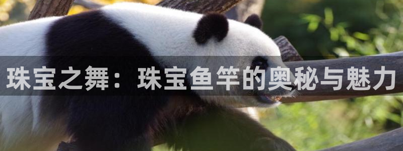 众联别墅g座上腾娱乐有限公司：珠宝之舞：珠宝鱼竿的奥秘与魅力