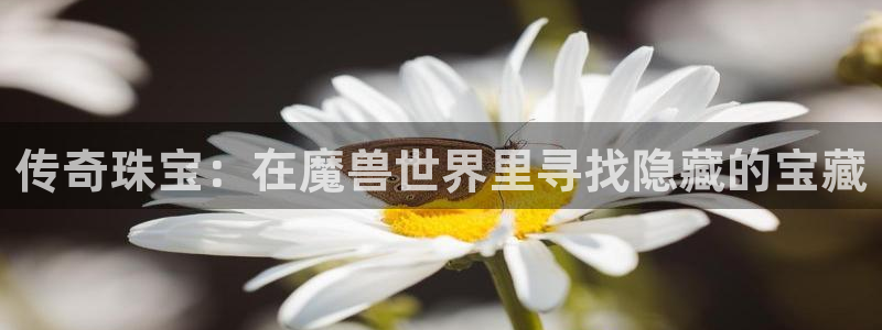 众腾娱乐毕 7O935：传奇珠宝：在魔兽世界里寻找隐藏的宝藏