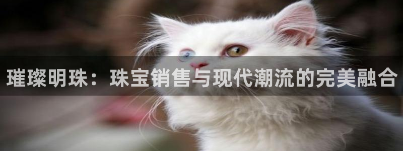 内蒙古众腾娱乐文化法人