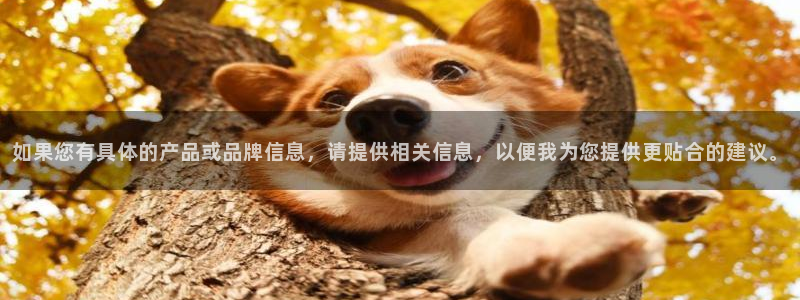 腾众娱乐是什么