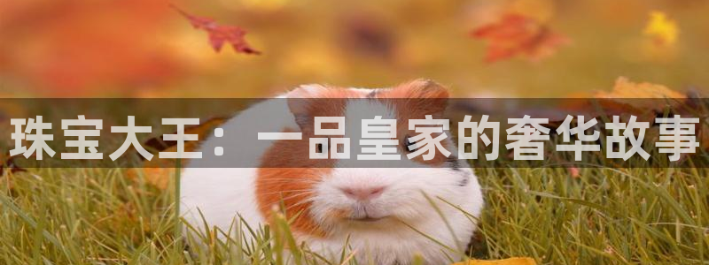 众腾娱乐APP下载：珠宝大王：一品皇家的奢华故事