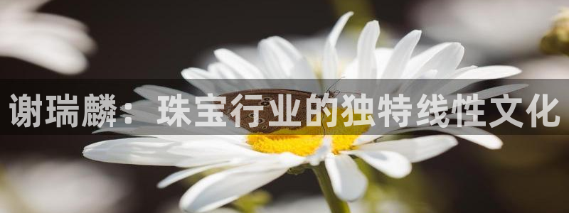 众腾娱乐平台官网入口
