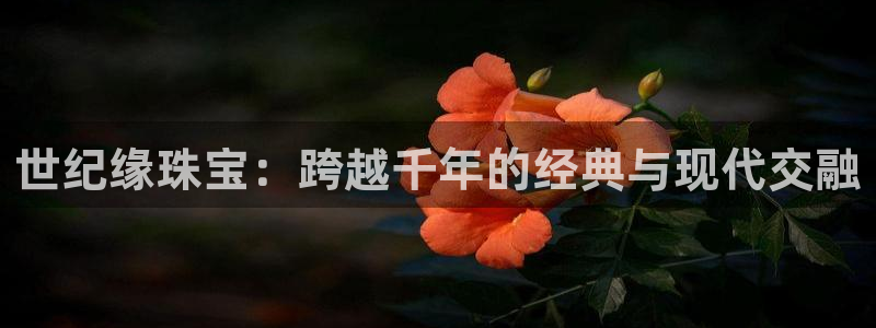 众腾娱乐平台下载