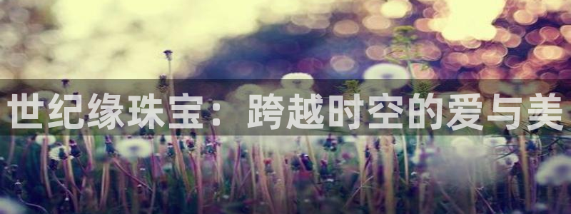 众腾娱乐下7O777：世纪缘珠宝：跨越时空的爱与美