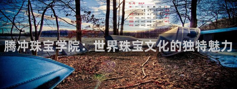 众腾娱乐平台官网入口