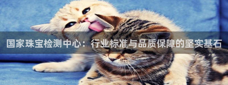 腾耀3娱乐众推8 28