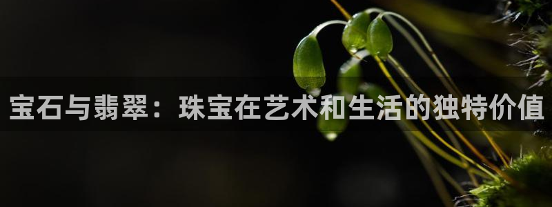 腾众竞技娱乐