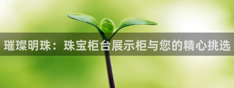 众腾娱乐公司简介