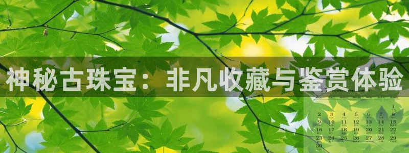 众腾娱乐文化怎么样