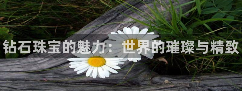 众腾娱乐登录：钻石珠宝的魅力：世界的璀璨与精致
