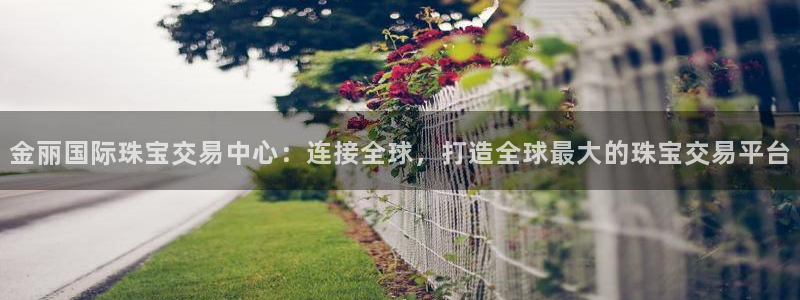 众腾娱乐：金丽国际珠宝交易中心：连接全球，打造全球最大的珠宝