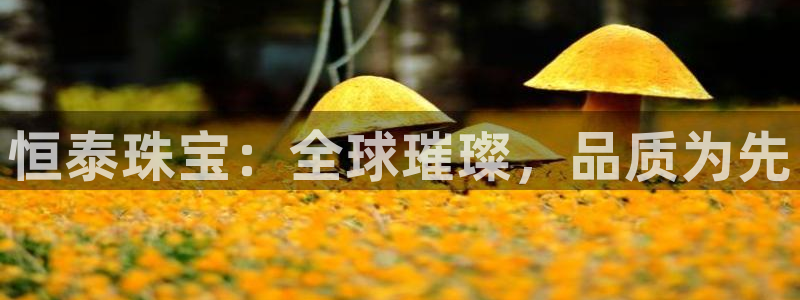 内蒙古众腾娱乐文化法人