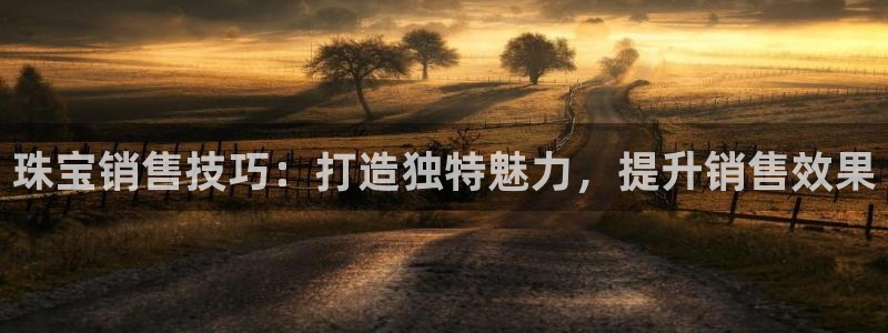 腾耀3娱乐众123：珠宝销售技巧：打造独特魅力，提升销售效果