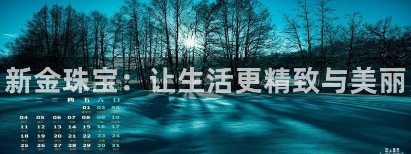 众腾娱乐登入探索无限空间：新金珠宝：让生活更精致与美丽