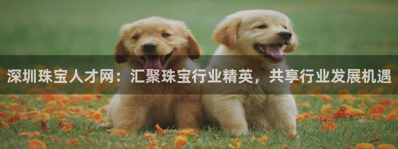 彝族自治州众腾娱乐：深圳珠宝人才网：汇聚珠宝行业精英，共享行