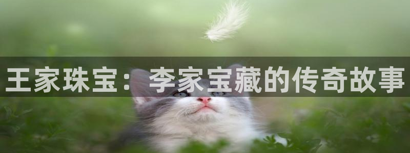 内蒙古众腾娱乐文化法人：王家珠宝：李家宝藏的传奇故事