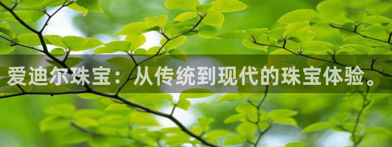 腾众娱乐的彩票靠谱吗：爱迪尔珠宝：从传统到现代的珠宝体验。