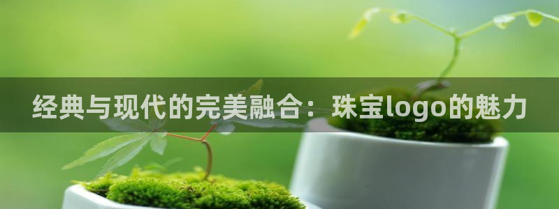 众腾娱乐app：经典与现代的完美融合：珠宝logo的魅力