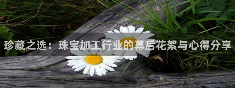 腾众娱乐：珍藏之选：珠宝加工行业的幕后花絮与心得分享