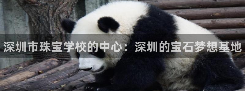 众腾娱乐蚀 7O935：深圳市珠宝学校的中心：深圳的宝石梦想