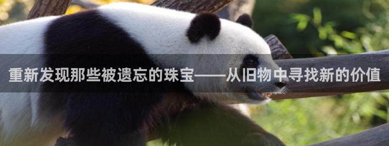 腾耀娱乐29999出众：重新发现那些被遗忘的珠宝——从旧物中