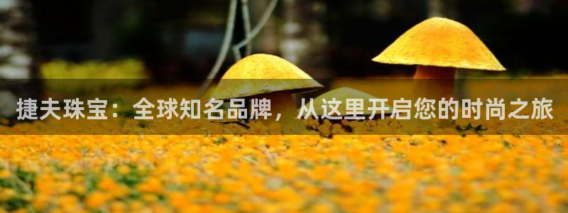 众腾娱乐公司简介