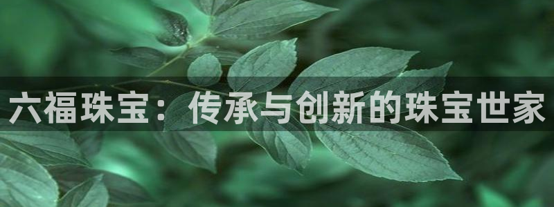 众腾娱乐招商