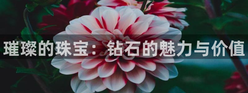 众腾娱乐平台群7O777:璀璨的珠宝:钻石的魅力与价值