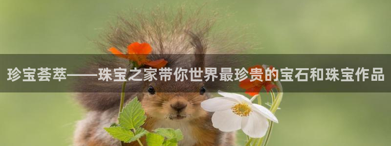 包头众腾娱乐密室逃脱