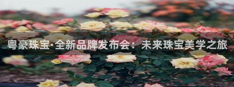众腾娱乐平台群7O777：粤豪珠宝·全新品牌发布会：未来珠宝