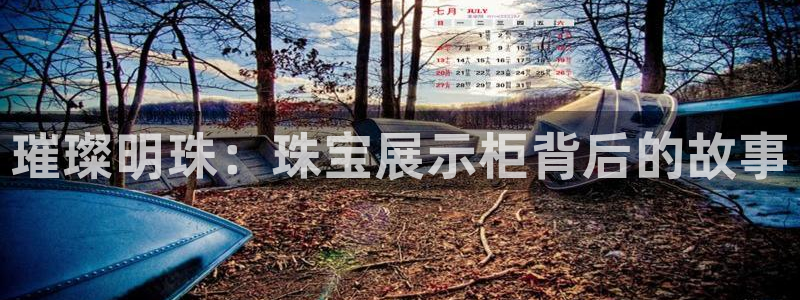 腾众竞技娱乐：璀璨明珠：珠宝展示柜背后的故事