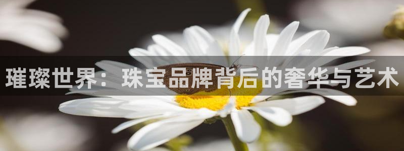 众腾娱乐毕 7O935:璀璨世界:珠宝品牌背后的奢华与艺术