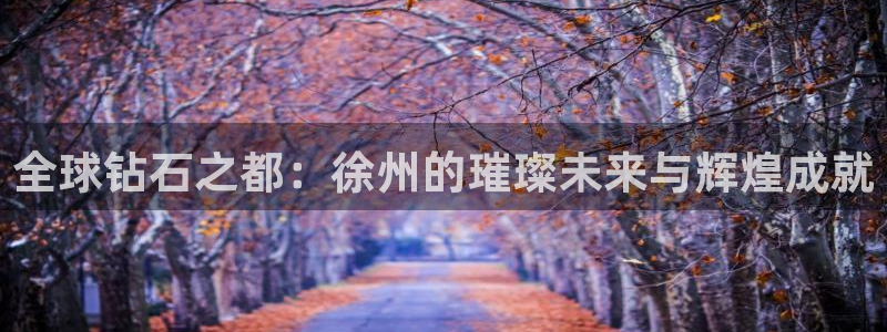 众腾娱乐登入探索无限空间：全球钻石之都：徐州的璀璨未来与辉煌